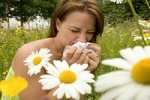 Весна – новые проблемы для аллергиков