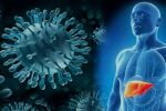 Хронический гепатит С: влияние на организм, основные стратегии лечения